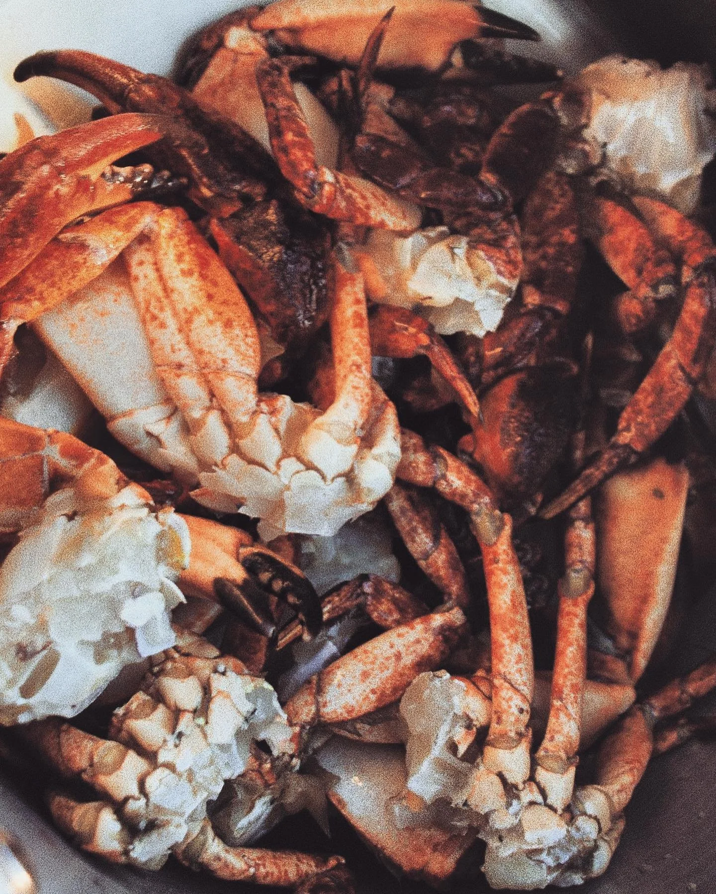 meal prep, because we gotta earn our appetizers out here 
.
#catchoftheday #redrockcrab #foxcove #suciaisland #summercruising #tasty #pnw #earnit #freshfood #fromthesea #travelgram #gooutside #coronacruise #sanjuanislands