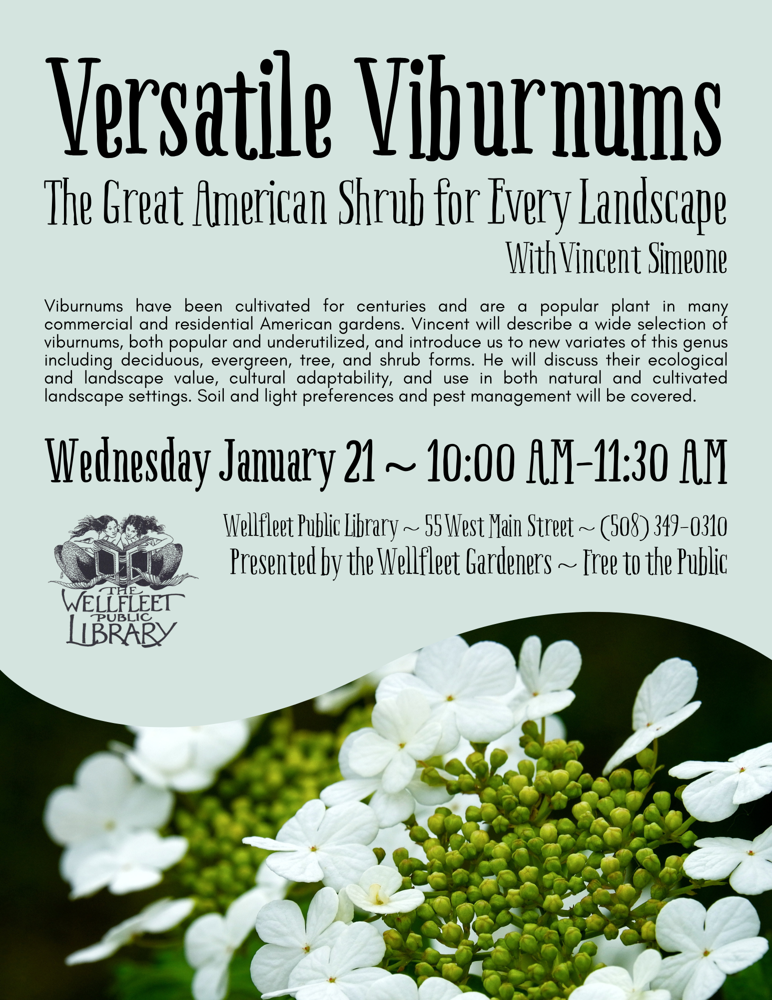 Versatile Viburnums: The Great American Shrub for Every Landscape with Vincent Simeone