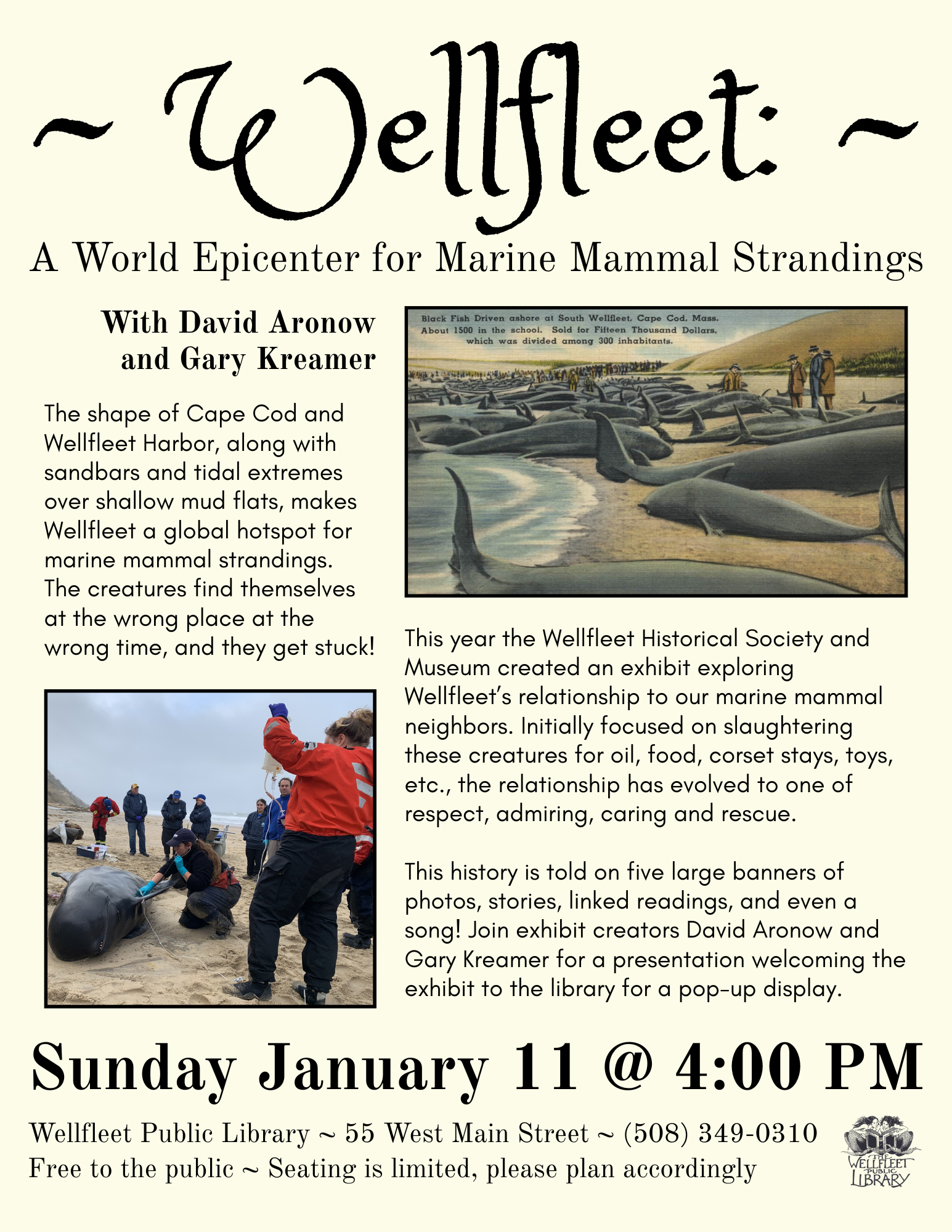 Wellfleet: A World Epicenter for Marine Mammal Strandings with David Aronow and Gary Kreamer