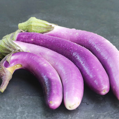 Eggplant- Pingtung Long