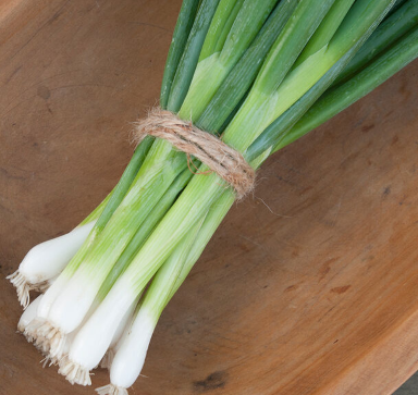 Onion- Evergreen- Scallion