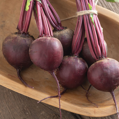 Beet- Subeto
