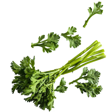 Greens-Chrysanthemum- Otafuku- NEW THIS YEAR. Limited Availability.