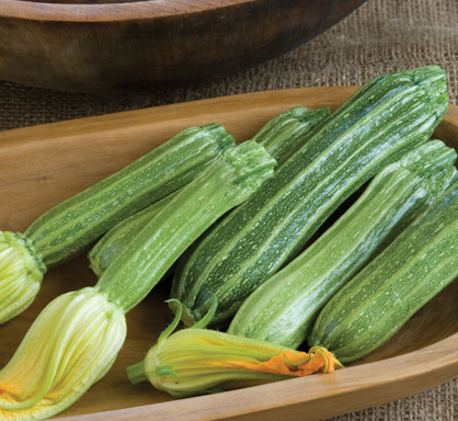 Zucchini- Costata Romanesco- New This Year!