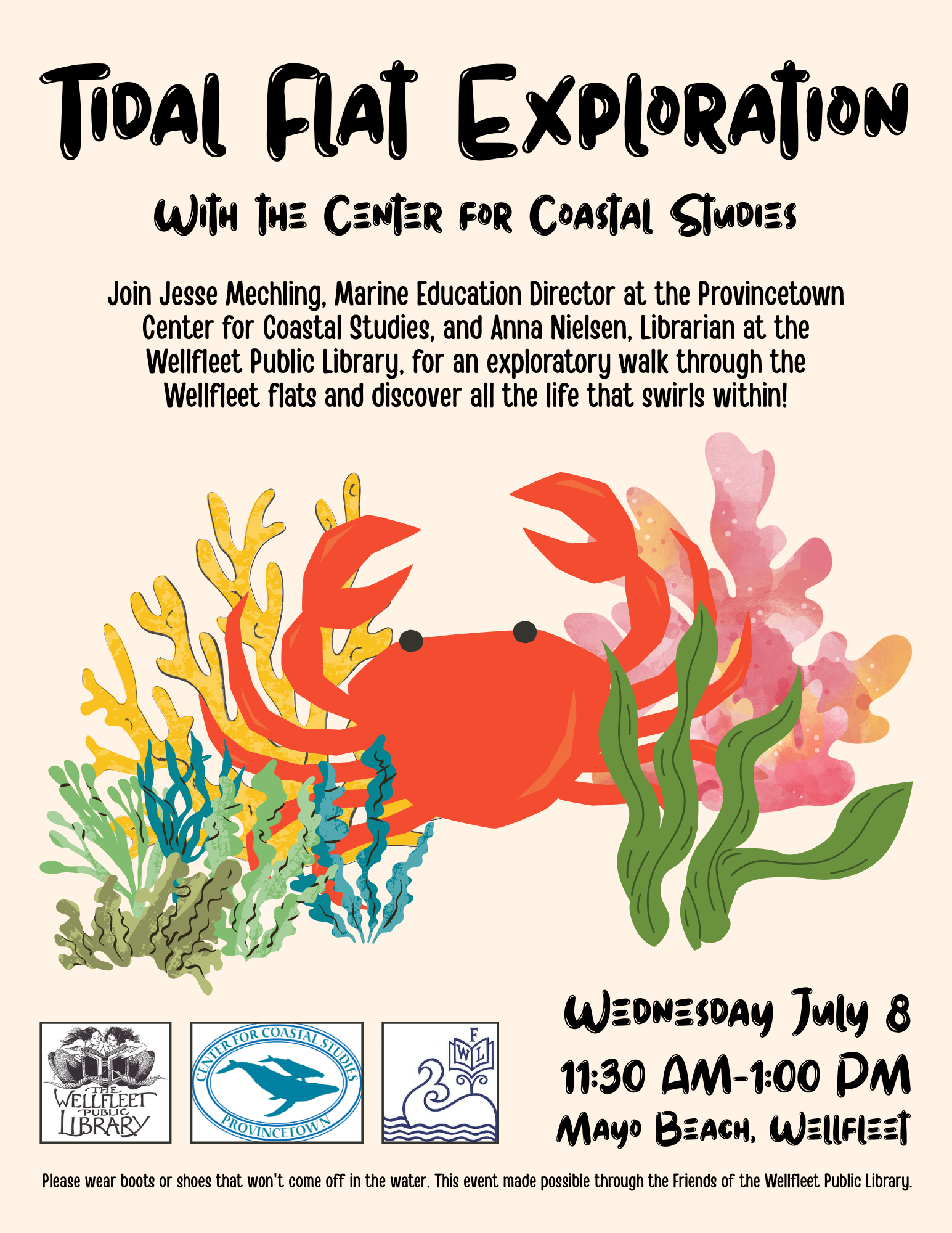 Tidal Flat Exploration at Mayo Beach