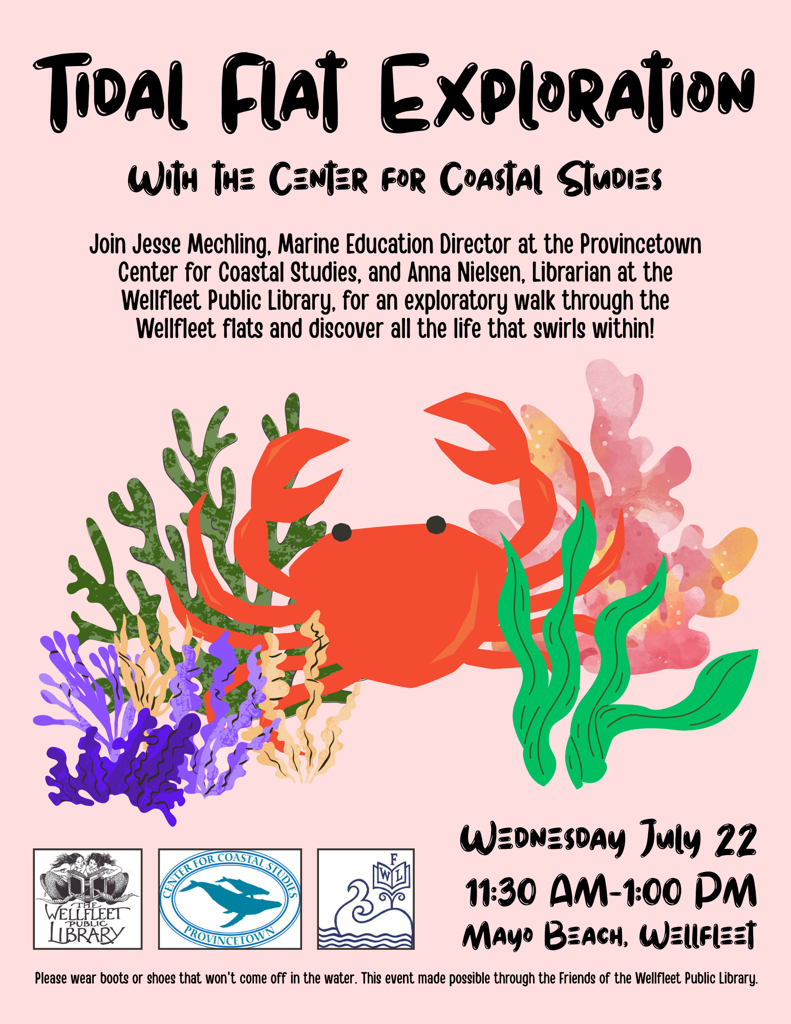 Tidal Flat Exploration at Mayo Beach