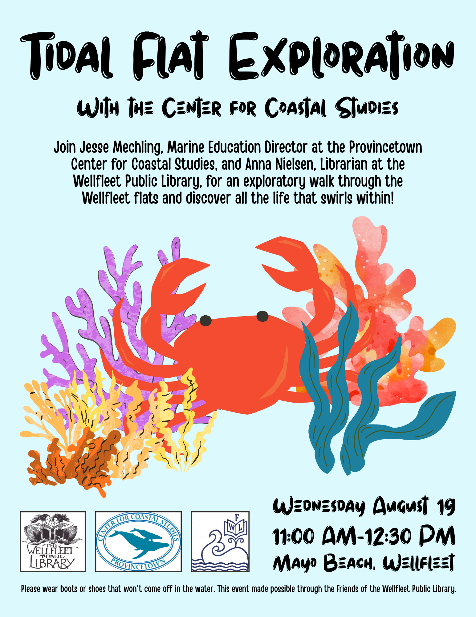 Tidal Flat Exploration at Mayo Beach