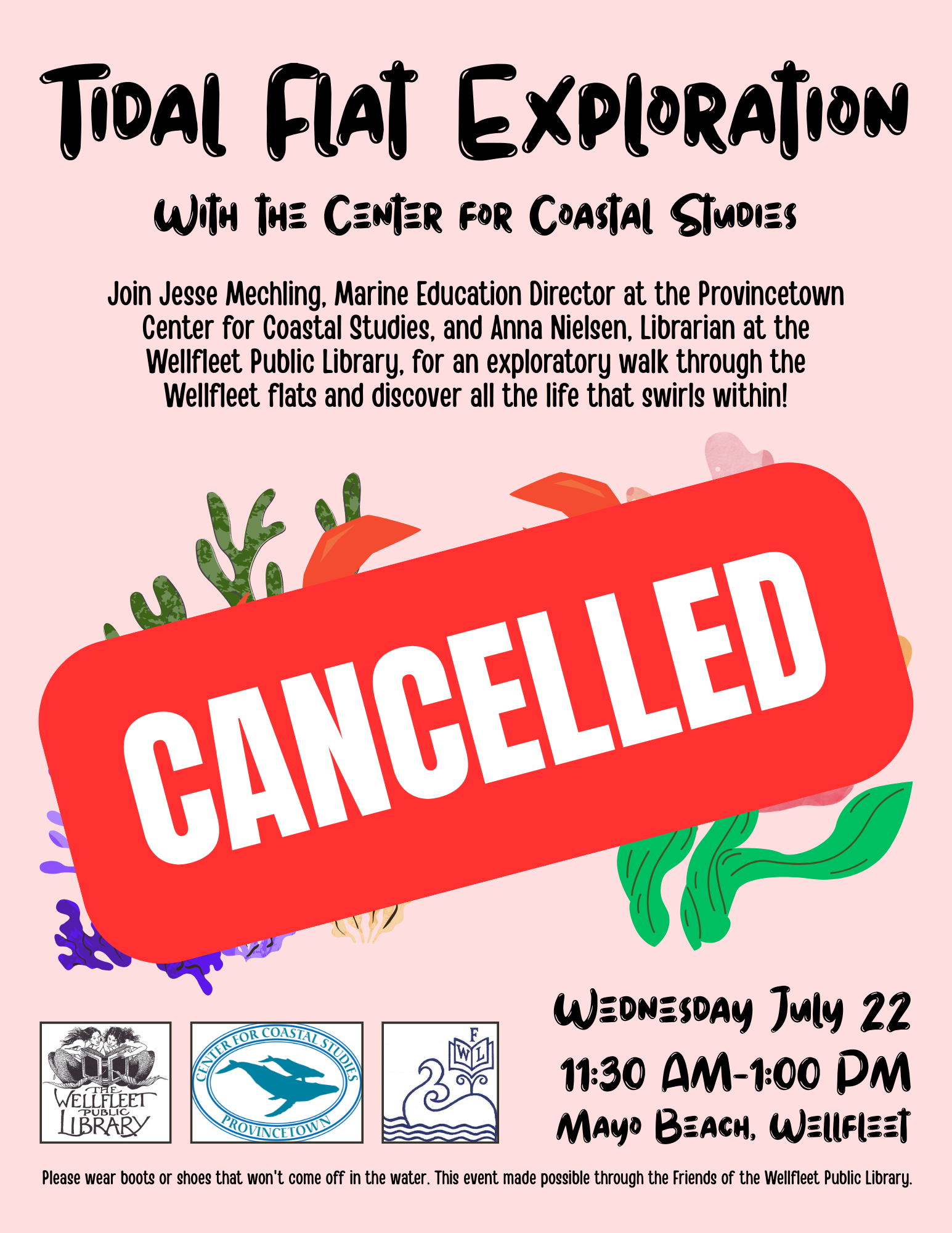 CANCELLED - Tidal Flat Exploration at Mayo Beach