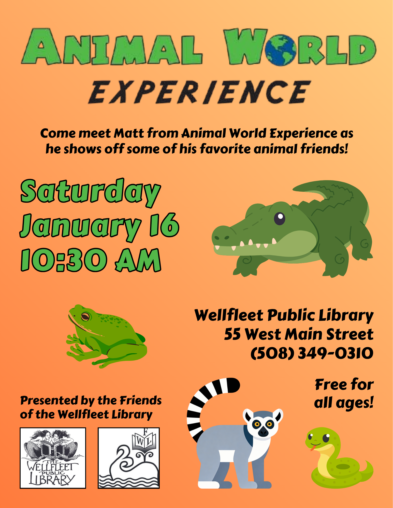 Animal World Experience