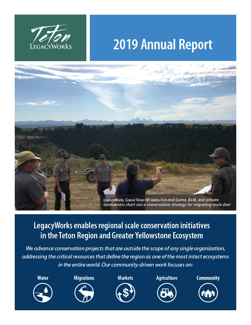Tetons - Informe anual 2019