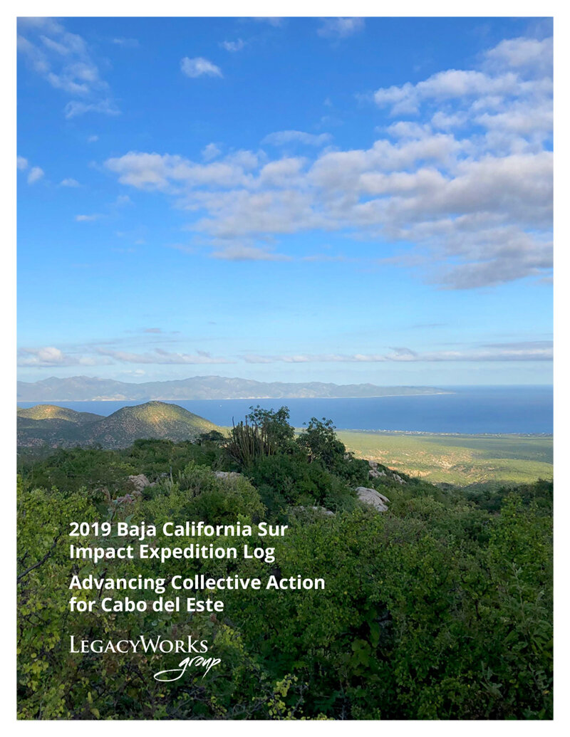 Registro de la Expedición de Impacto de Baja - 2019
