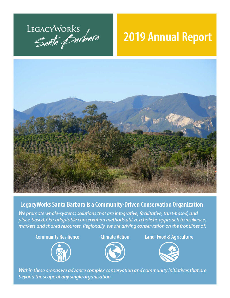 Santa Bárbara - Informe anual 2019