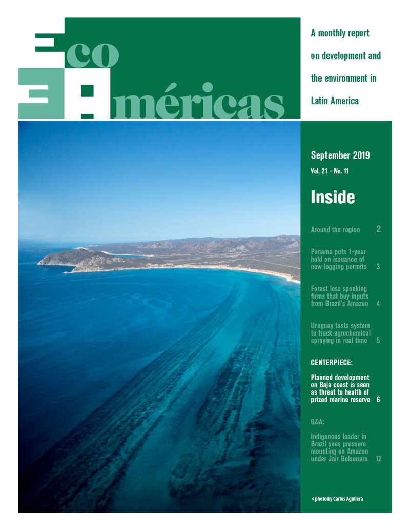 Baja - El desarrollo planificado en la costa de Baja amenaza a la reserva marina