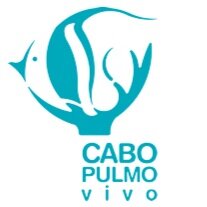 cabo-pulmo-vivo.jpg