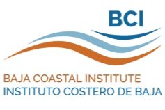 BCI-Logo-png.jpg