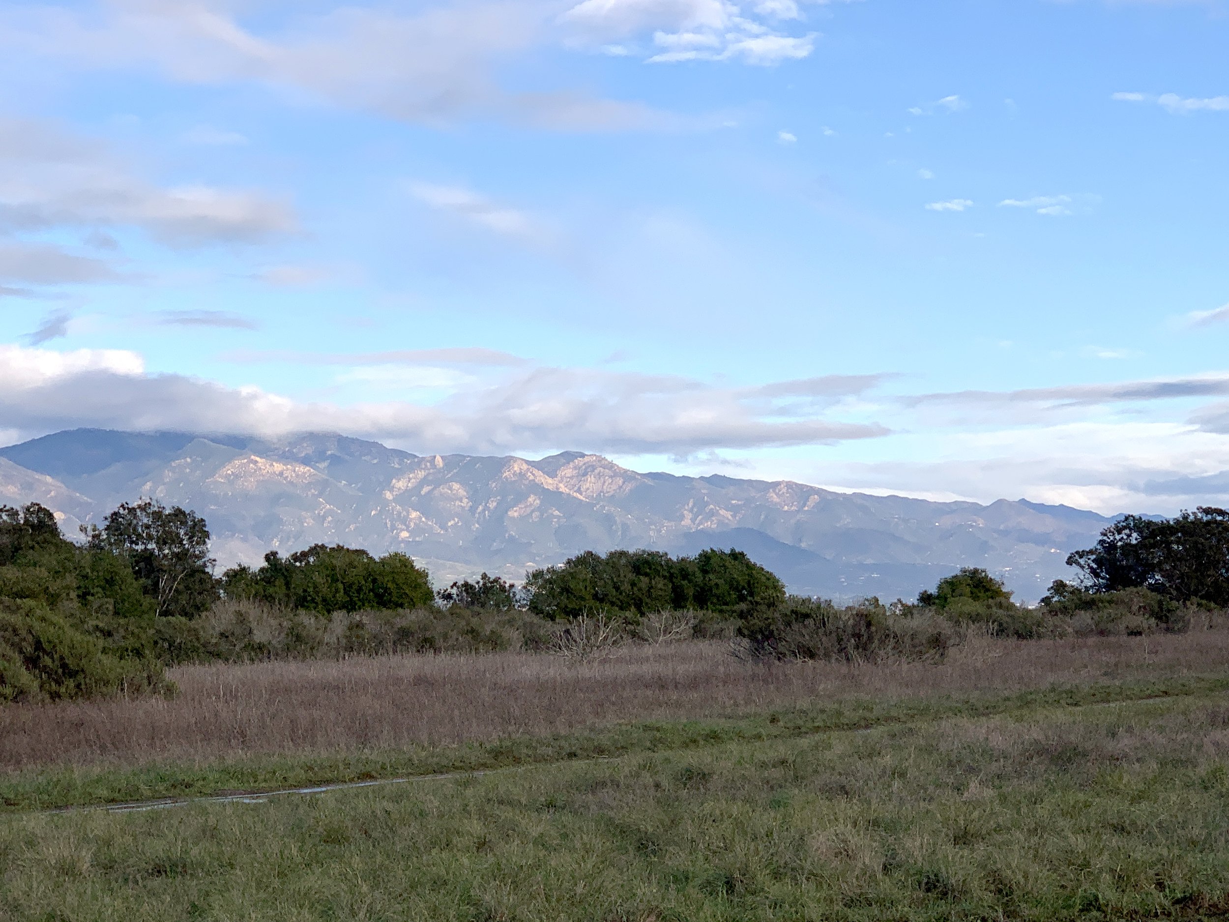 El corazón de Ellwood Mesa