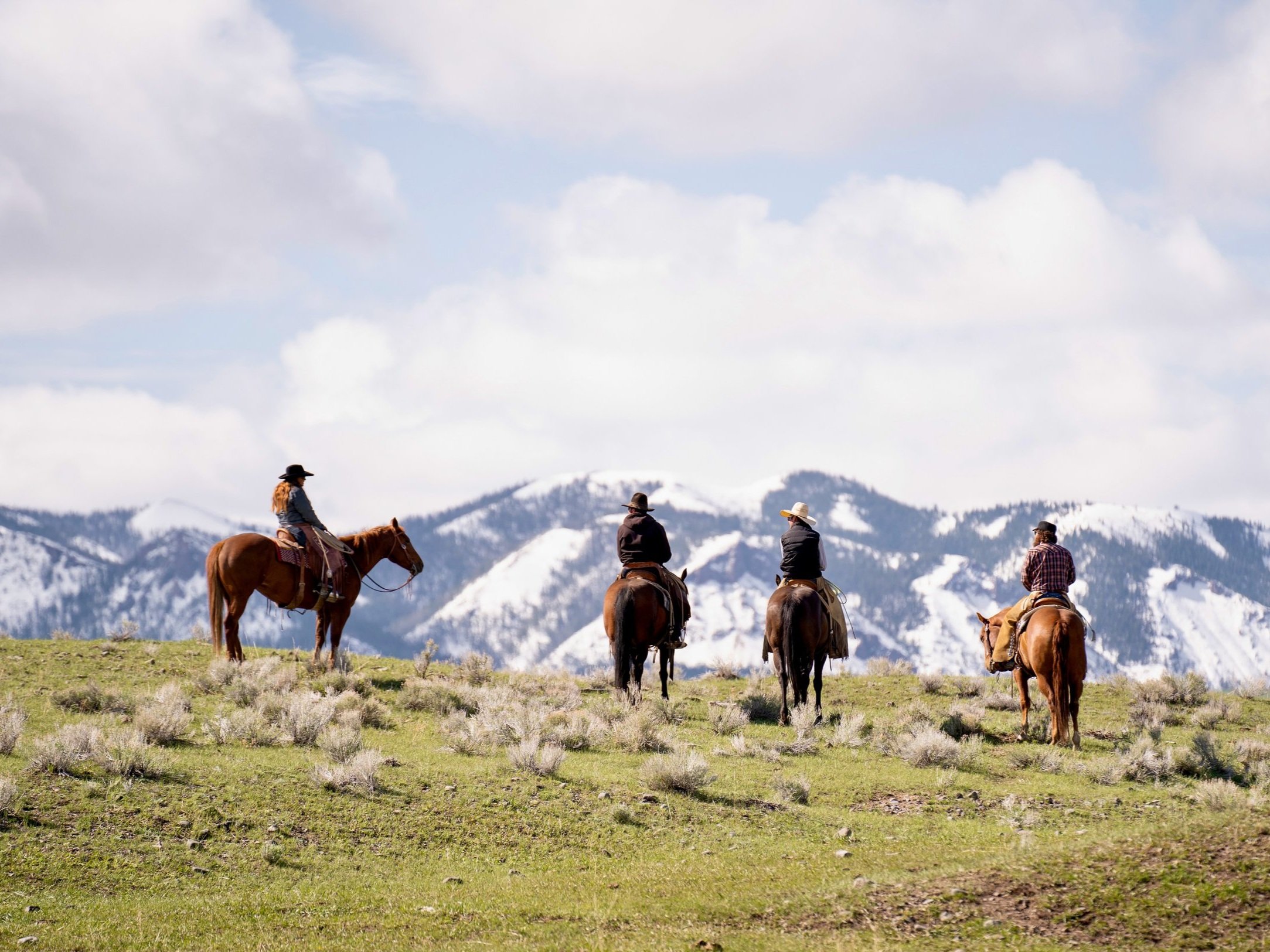 Colaboración de East Yellowstone