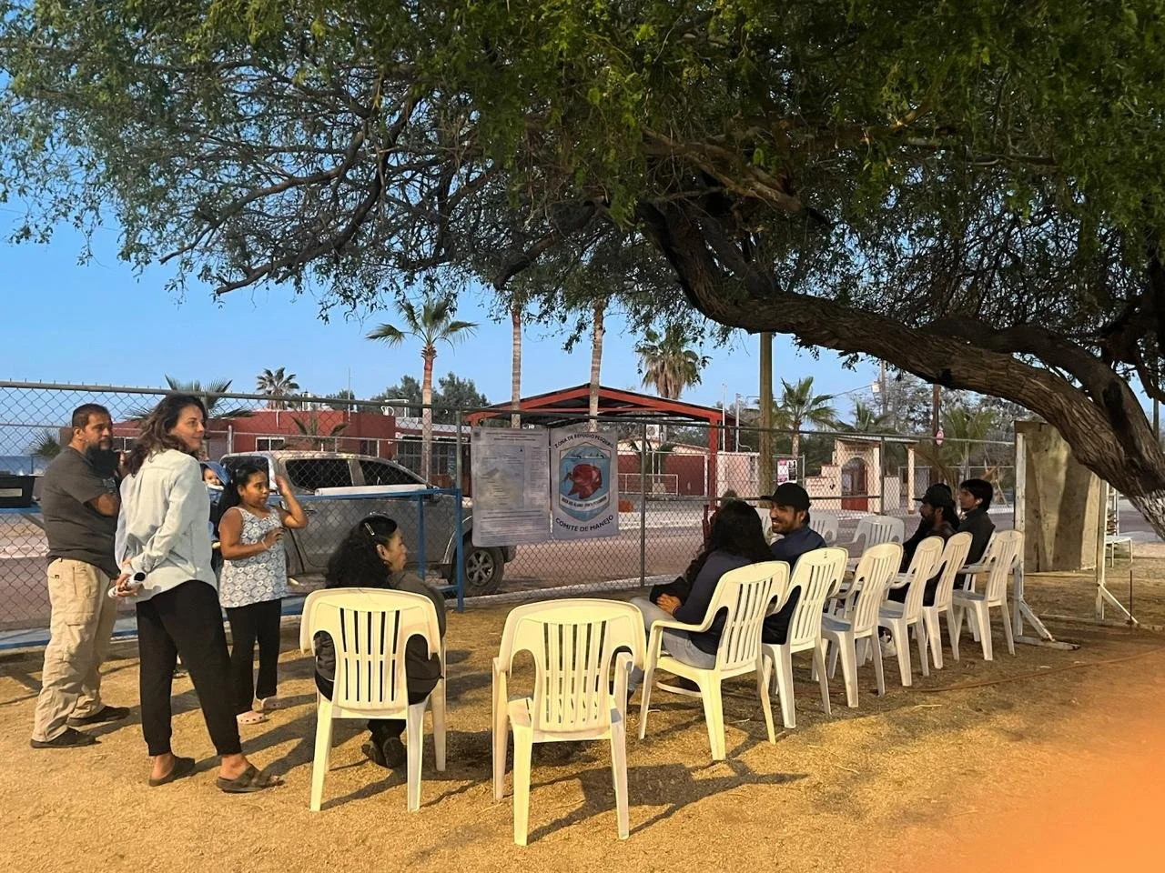 WhatsApp Image 2026-03-23 at 19.26.37 (5).jpeg