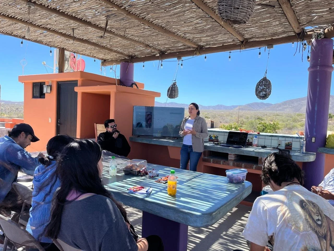 WhatsApp Image 2026-03-23 at 19.26.37 (1).jpeg