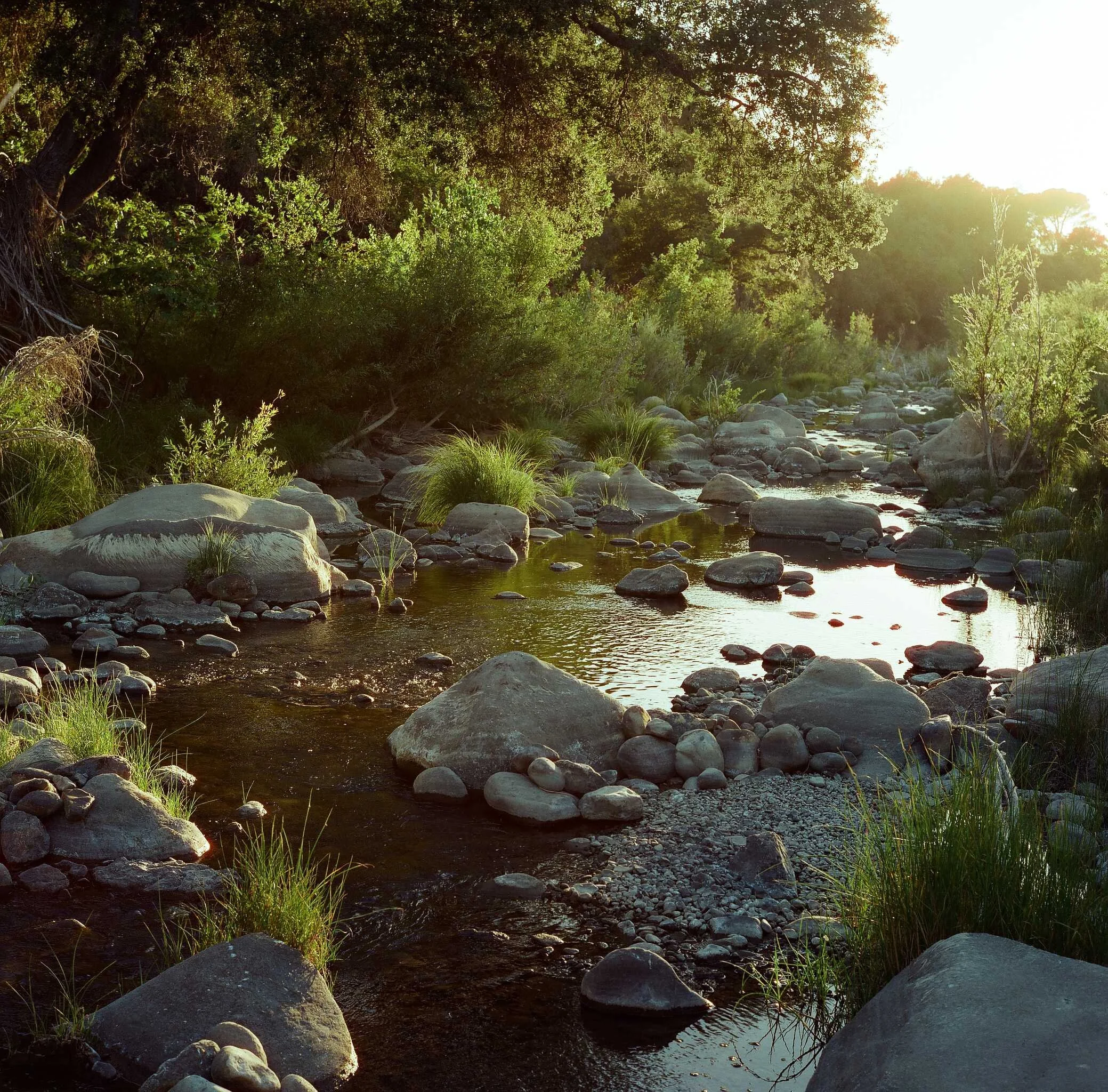 Weaving Connections on the Santa Ynez River