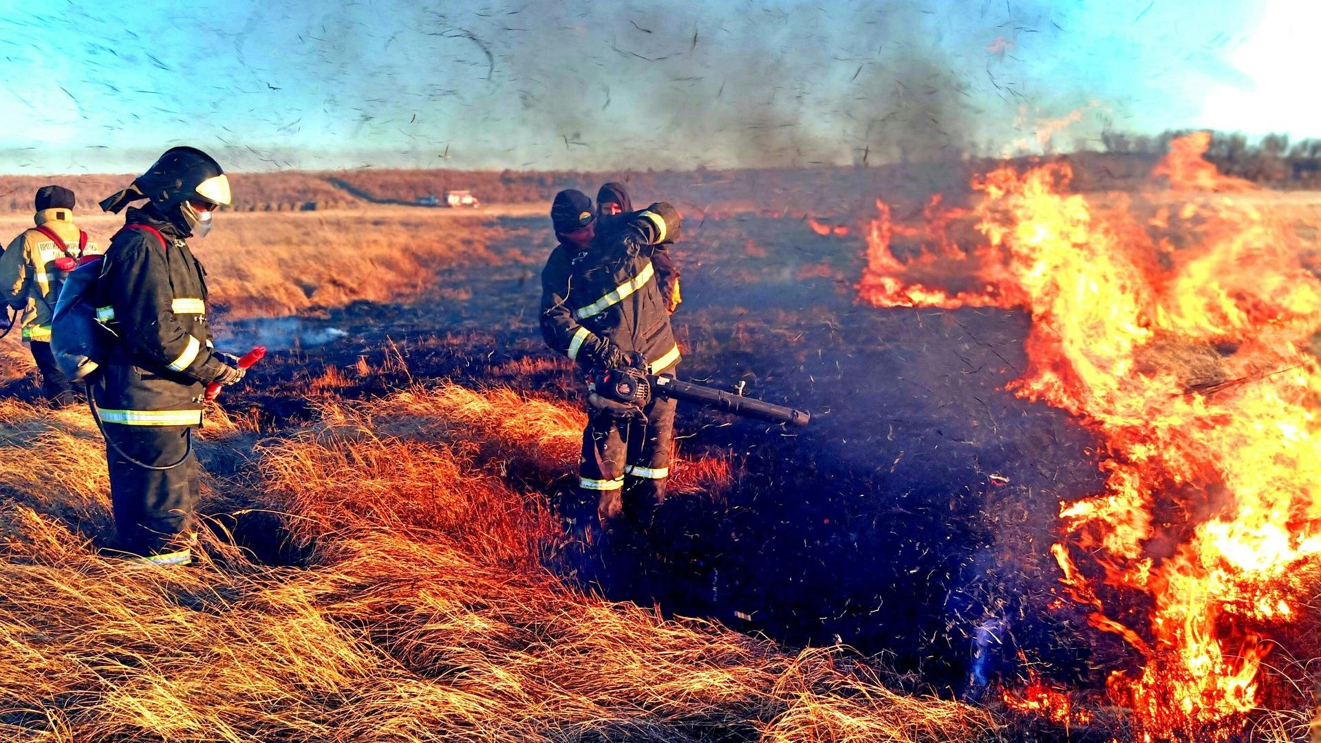 A Milestone in Collaborative Stewardship: Santa Barbara Wildfire Resilience Collaborative Symposium