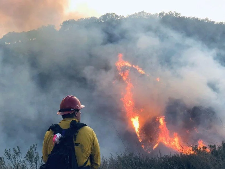 A Milestone in Collaborative Stewardship: Santa Barbara Wildfire Resilience Collaborative Symposium
