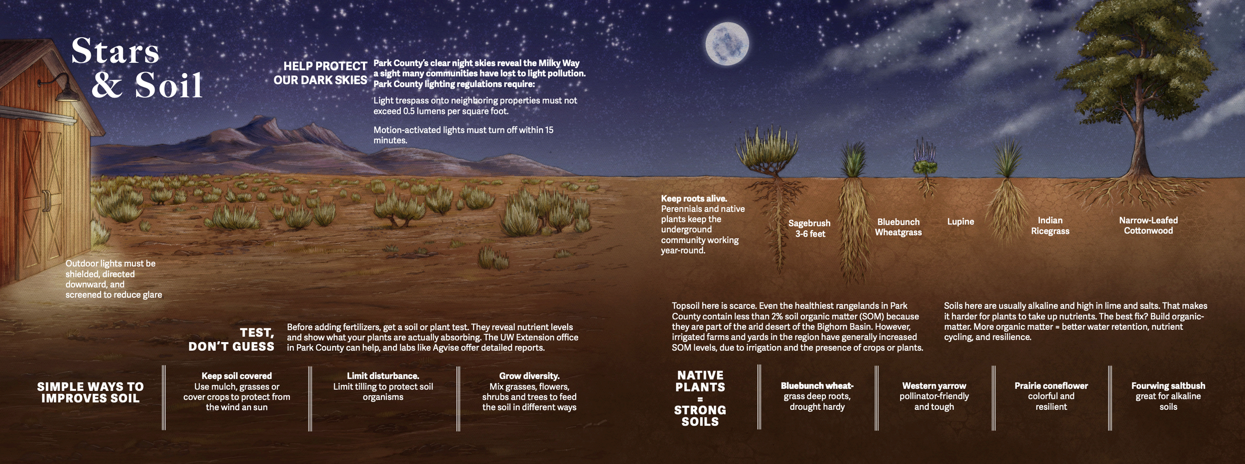 full spread illustration of plants and soil