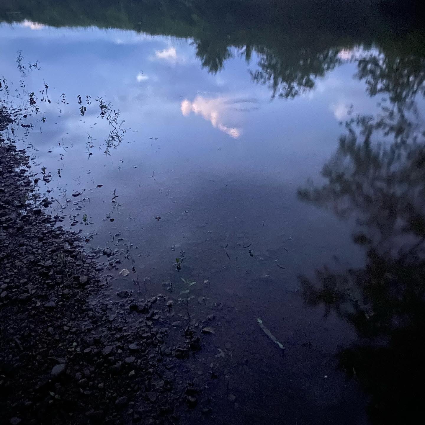 Down by the river, Gardiner, NY. Image by Jenny Wonderling