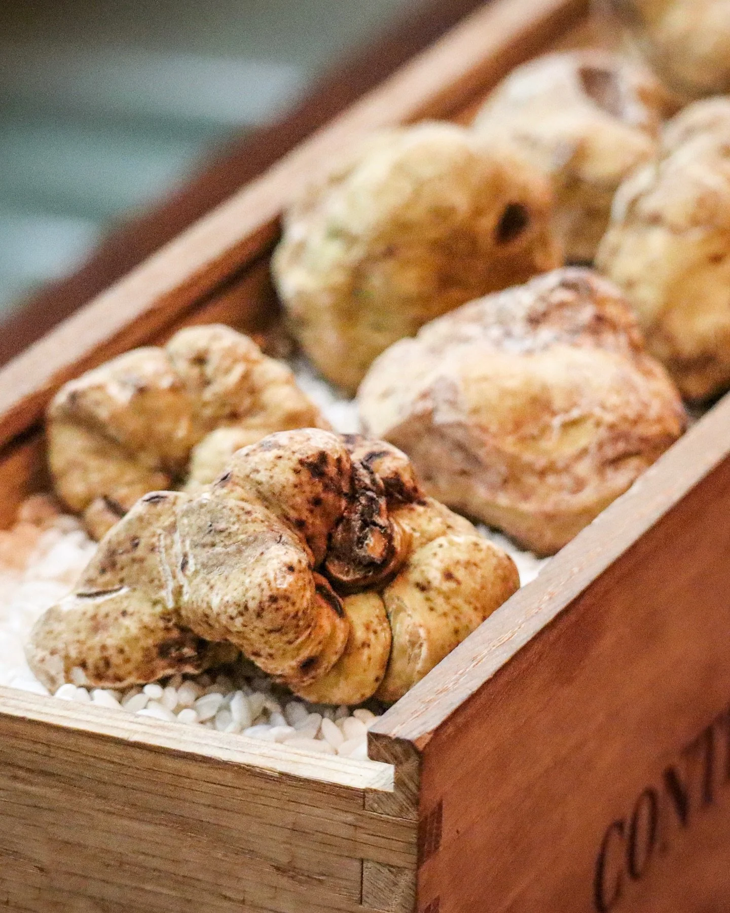 The Diamond of the Kitchen has returned.
&nbsp;
For a fleeting time each year, we welcome the arrival of white truffles from Umbria &mdash; prized for their haunting aroma and delicate richness. Enhance your dishes with these treasured tubers for a t