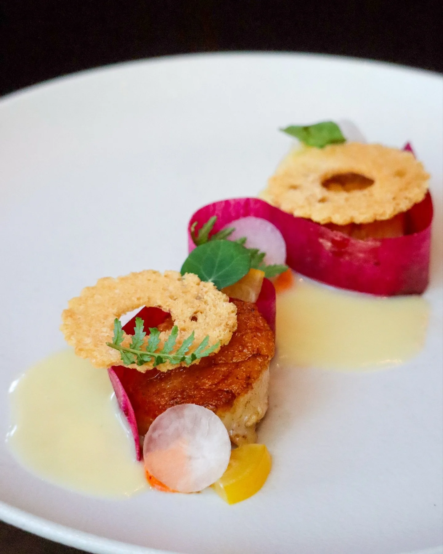 This season, our storytelling turns north to Friuli-Venezia Giulia &mdash; a region shaped by alpine peaks, cold winds, and ancient crossroads.

Begin with seared Maine scallops, bright radish, and Habanada coulis in Capesante Gratinate. Then, a nort