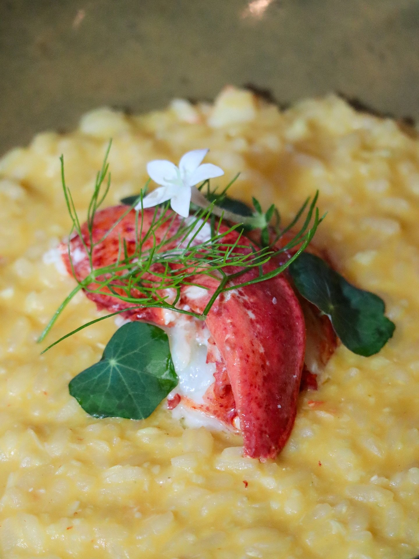 This Christmas and New Year&rsquo;s Day, we invite you to a celebratory brunch steeped in Italian tradition at Yolan.

Savor the richness of Lobster and White Truffle Risotto with butternut squash and Gruy&egrave;re; tender Lamb Pappardelle finished 