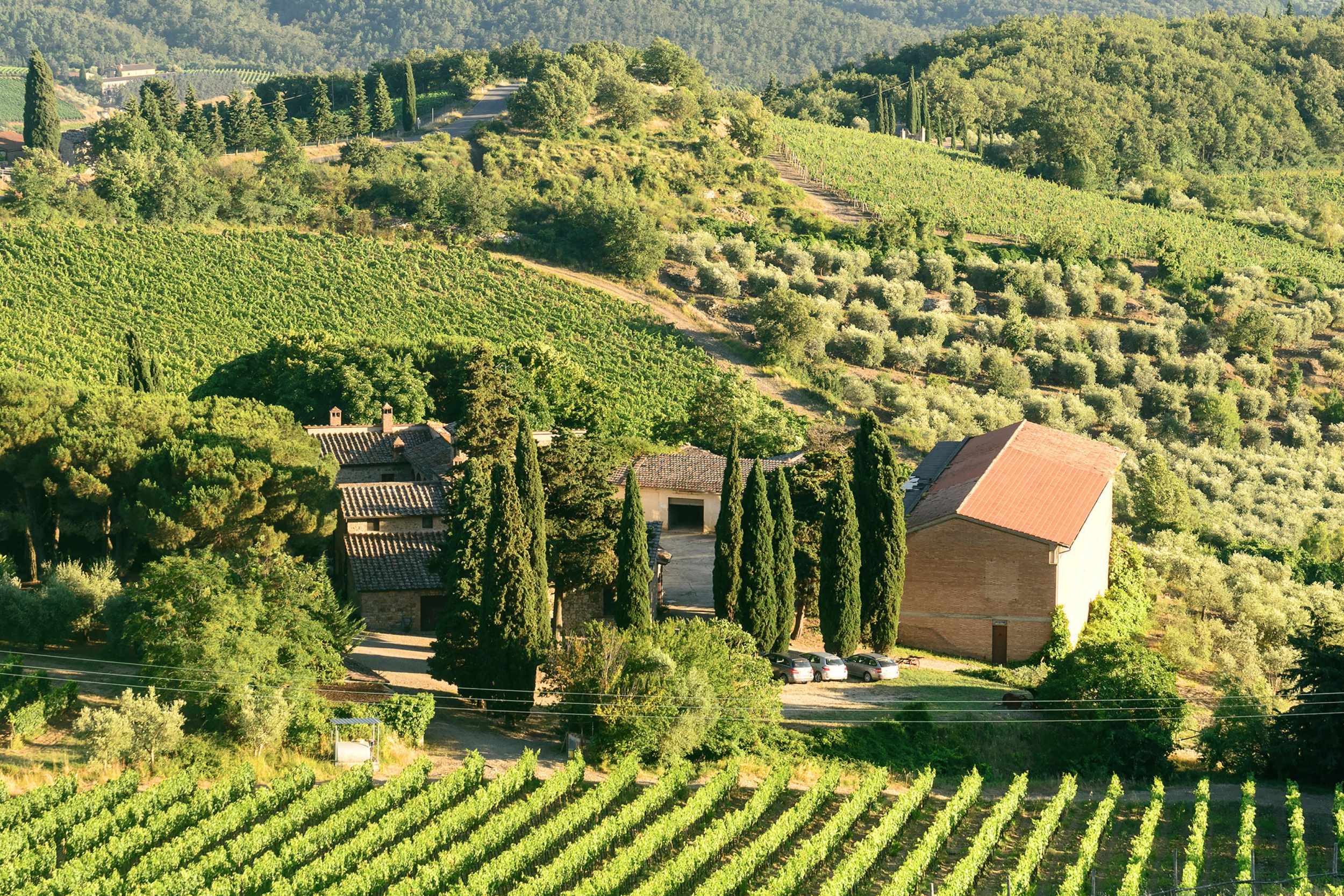 July Wine Tasting: Super Tuscans