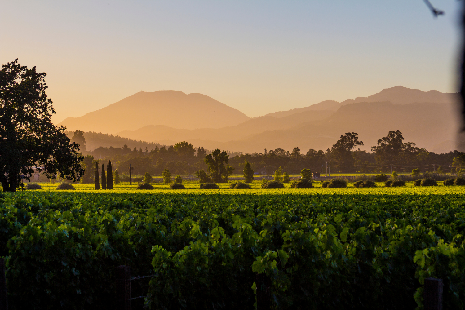 September Wine Tasting: Harvest Along the Coast