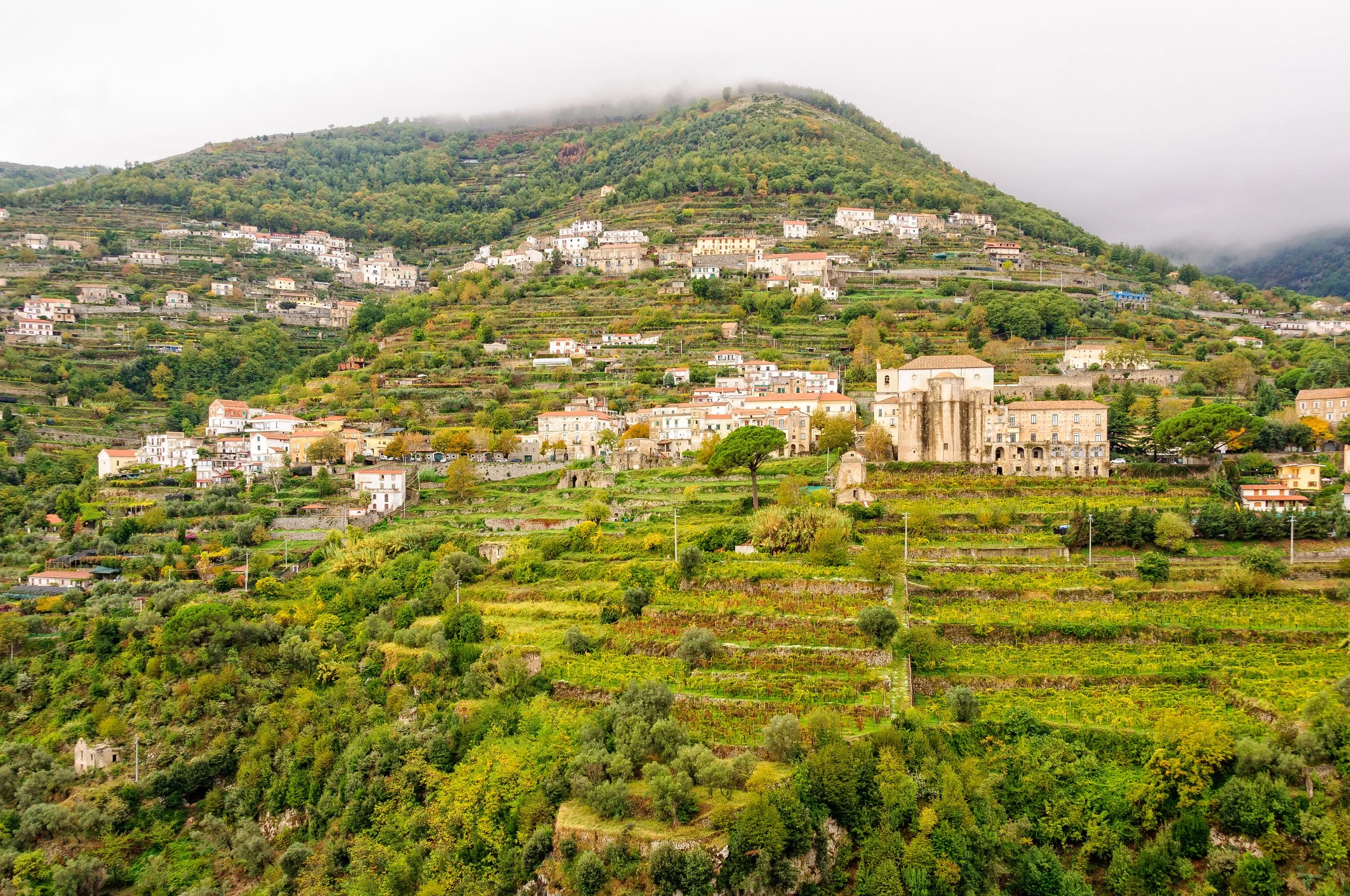 From the First Vines: A Taste of Campania