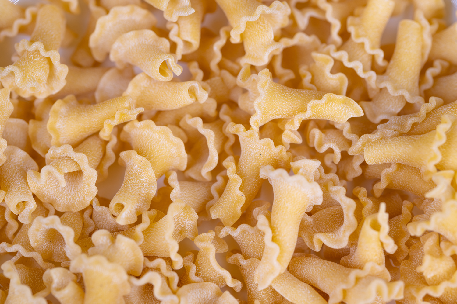 Campanelle Pasta-Making Class and Lunch