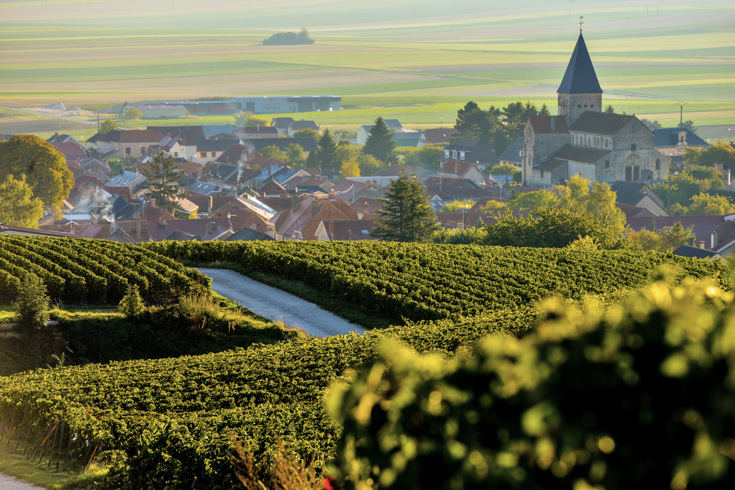 Bubbles Without Borders: A World Tour of Sparkling Wine