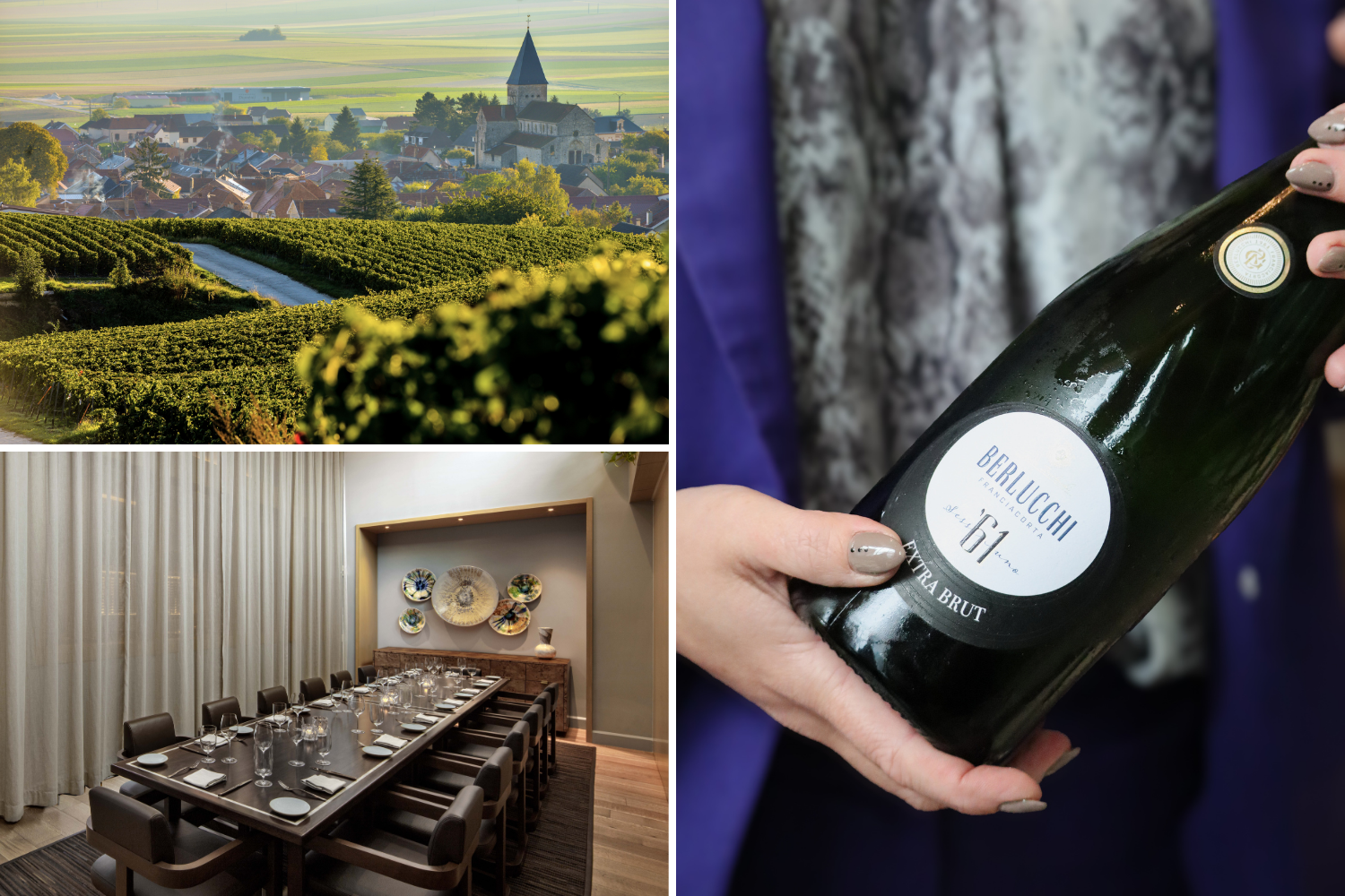 Sparkling Wine Tasting