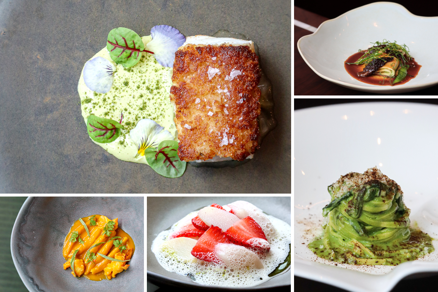 Abruzzo Tasting Menu | Yolan | Nashville, TN