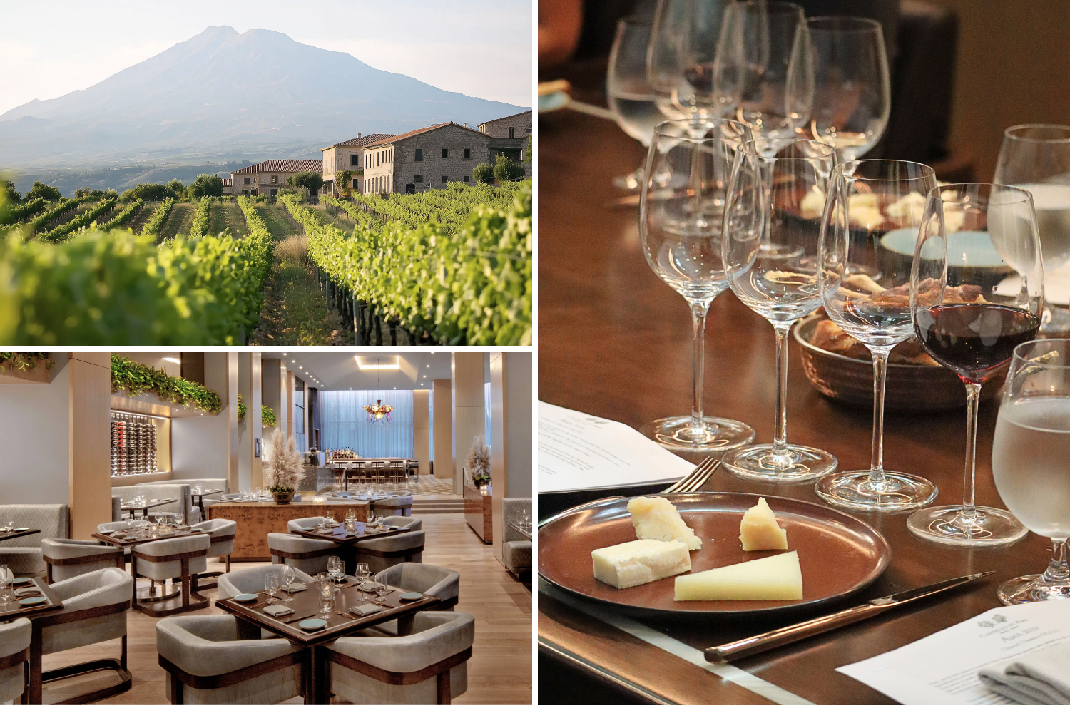 Sicily wine tasting at Yolan in Nashville