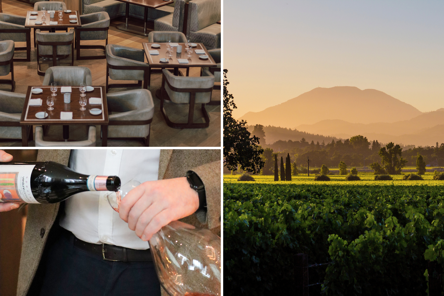 California and Oregon wine tasting at Yolan in Nashville