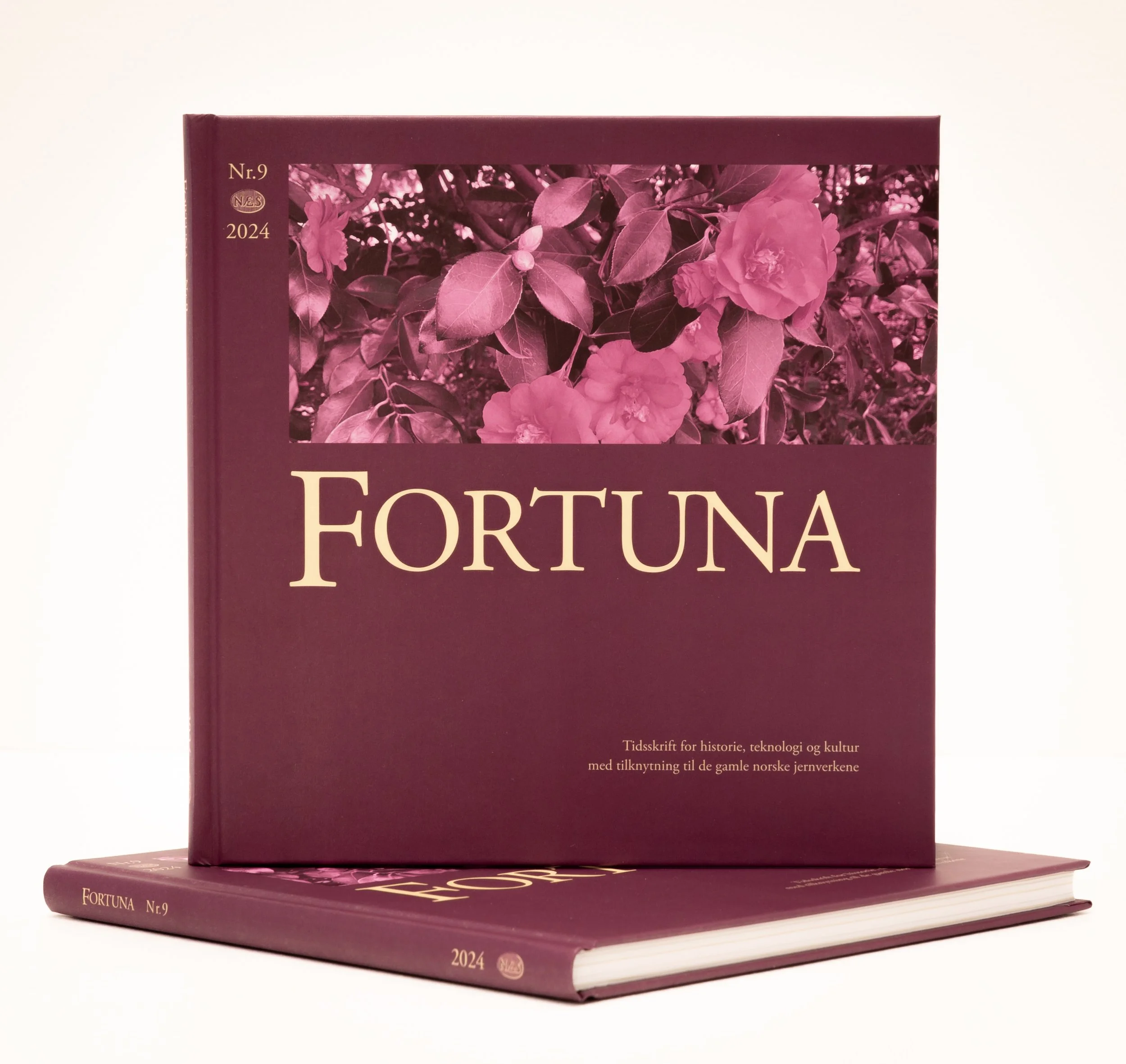 Fortuna nr9