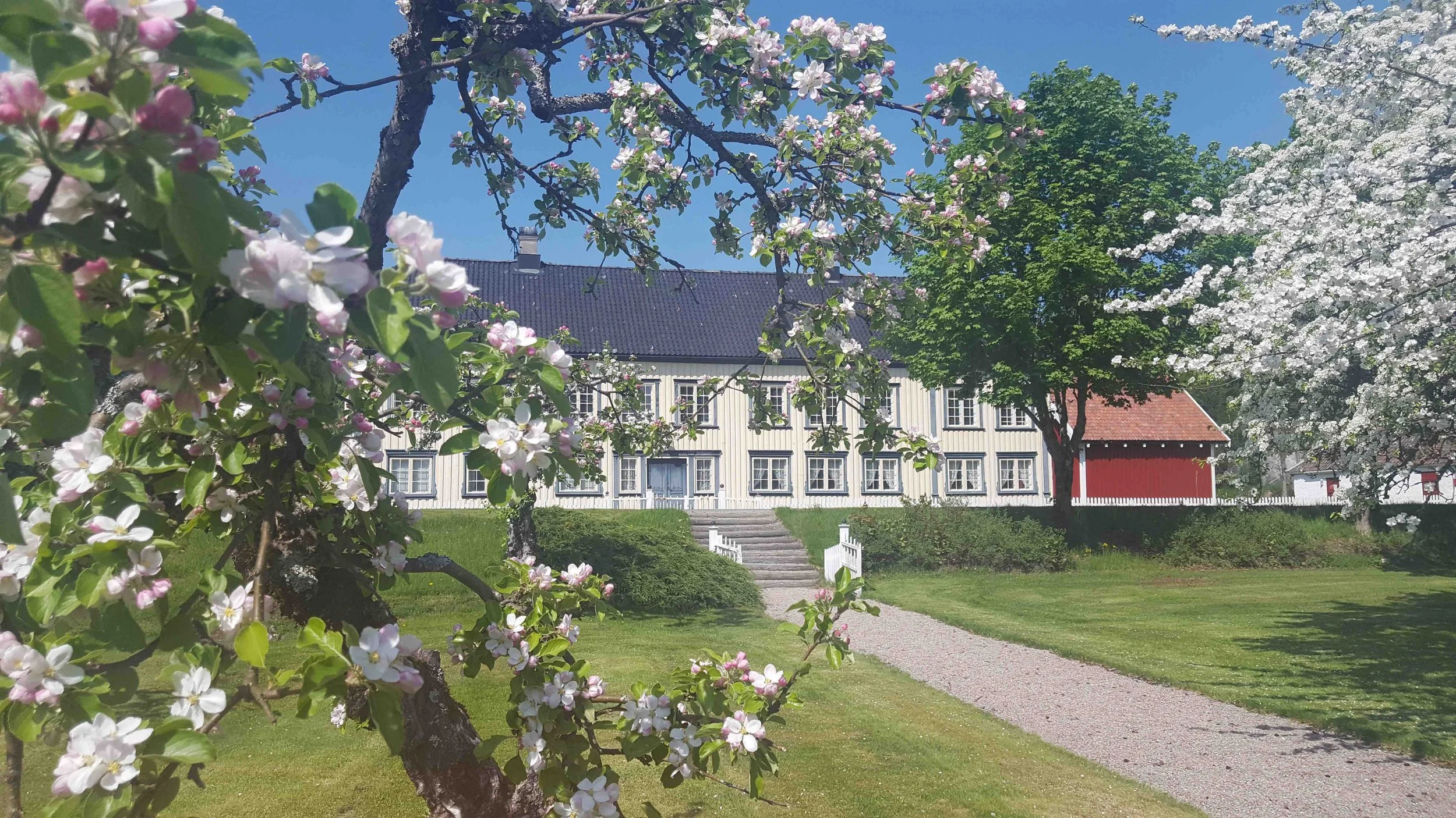 Store ambisjoner på Frolands Verk — Næs Jernverksmuseum