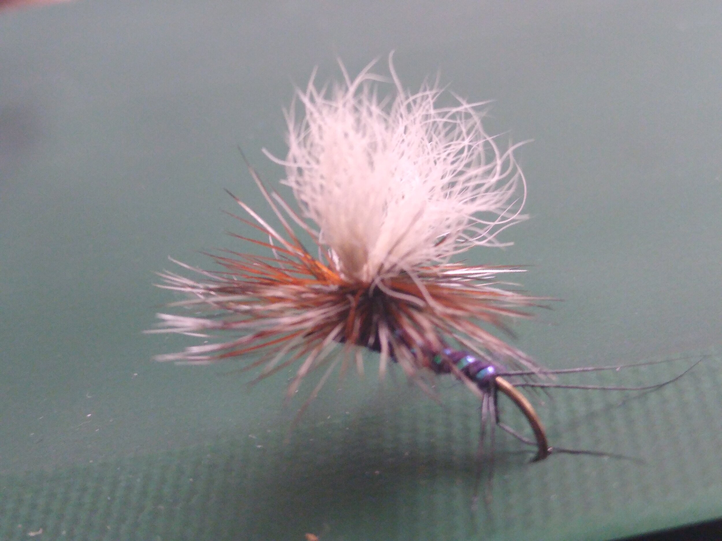 VC CD Fly.jpg
