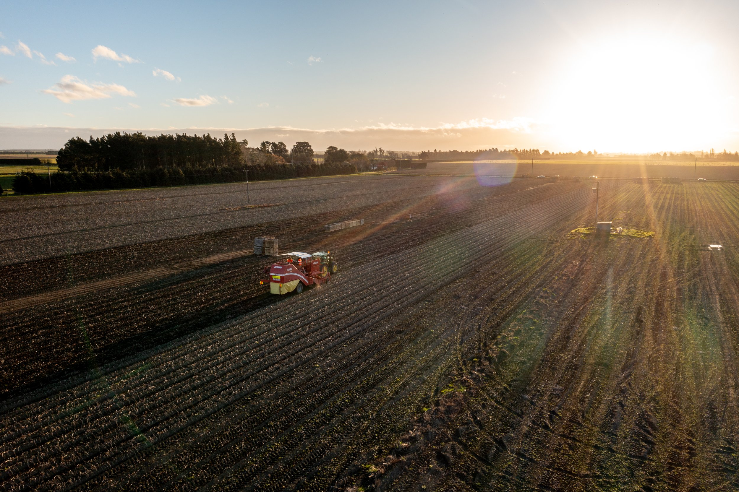 A rural farm field with a machine working on the soil during sunset, with trees and open land in the background.