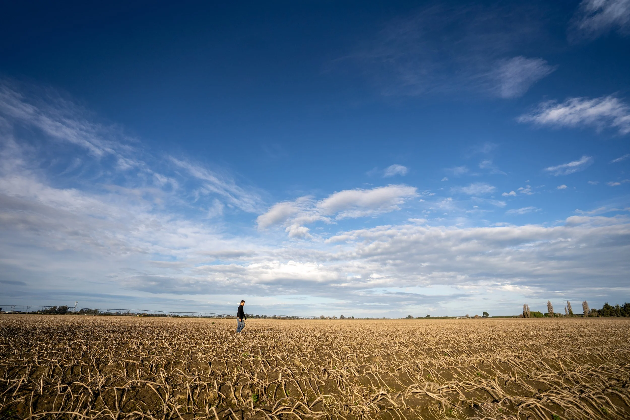 A person walking in a dry, barren field under a blue sky with scattered clouds.