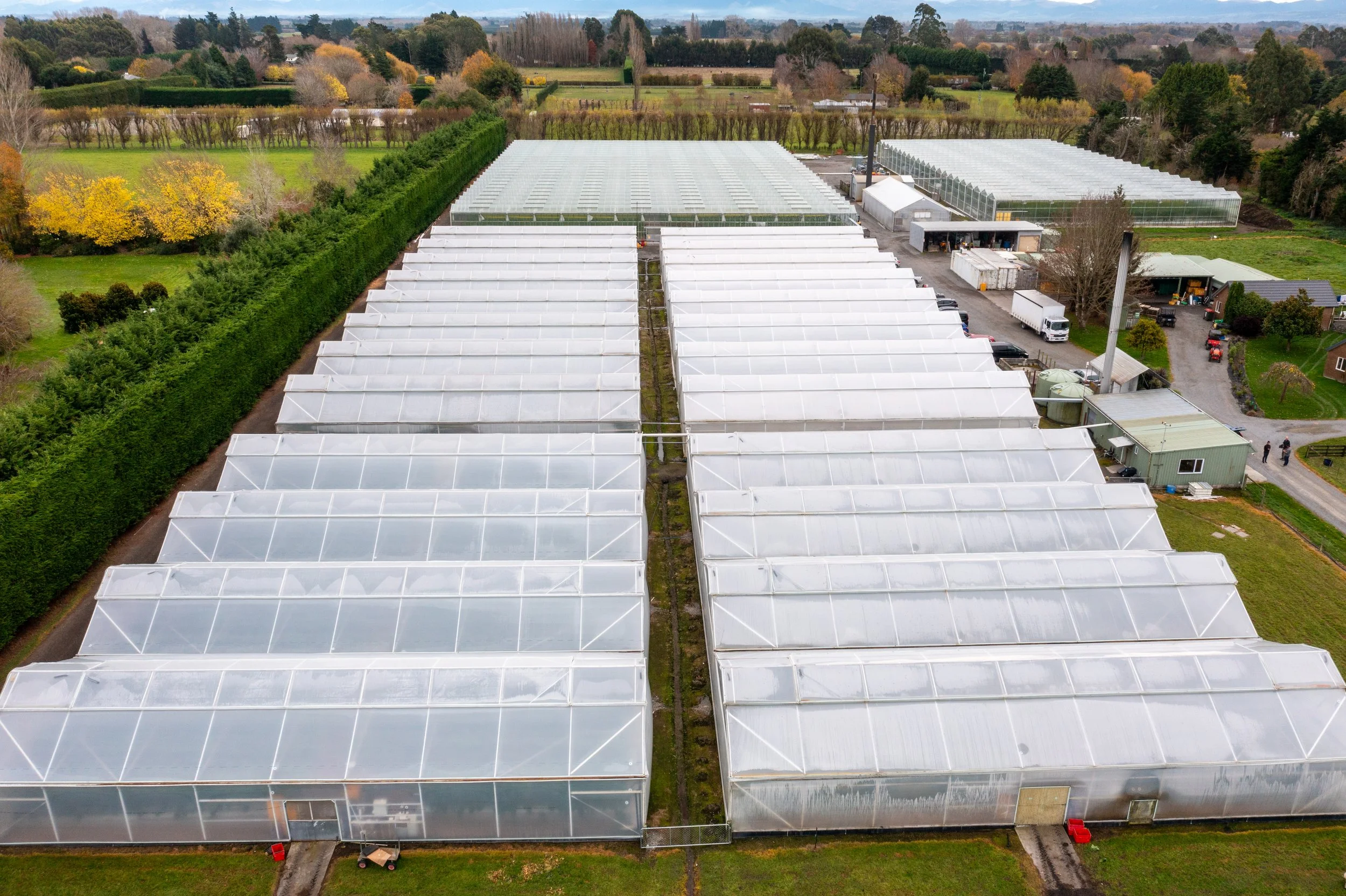  aerial view of multiple greenhouses in a rural farm setting with fields and trees in the background.