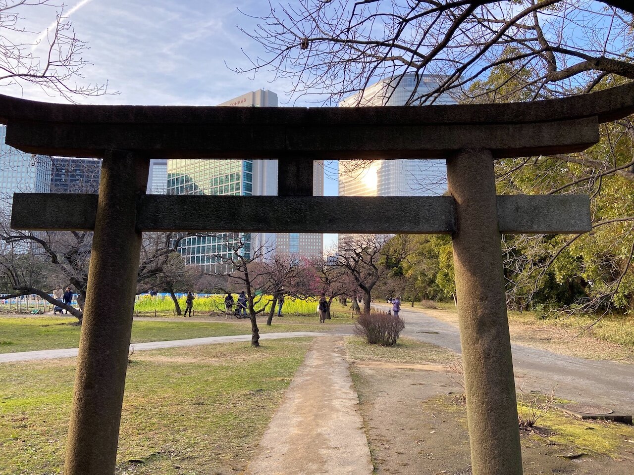 Tori Gate in Himariku Gardens Tokyo.jpeg
