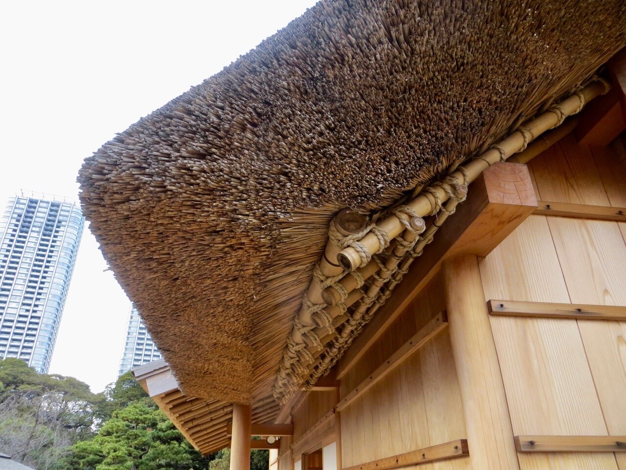 Thatched roof in Hama Rikyu garden.jpg