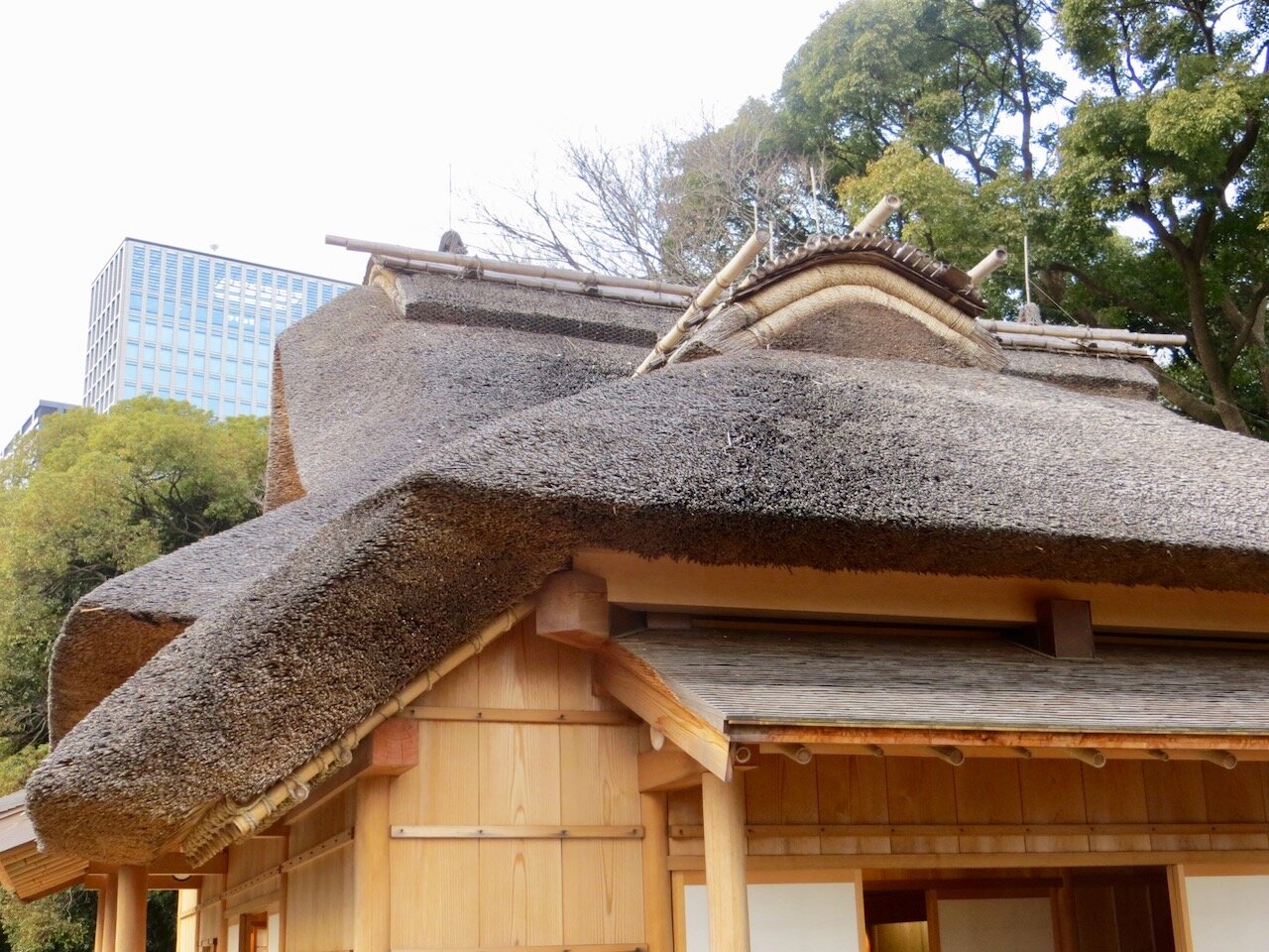 Thatched roof in Hama Rikyu gardens Tokyo.jpg