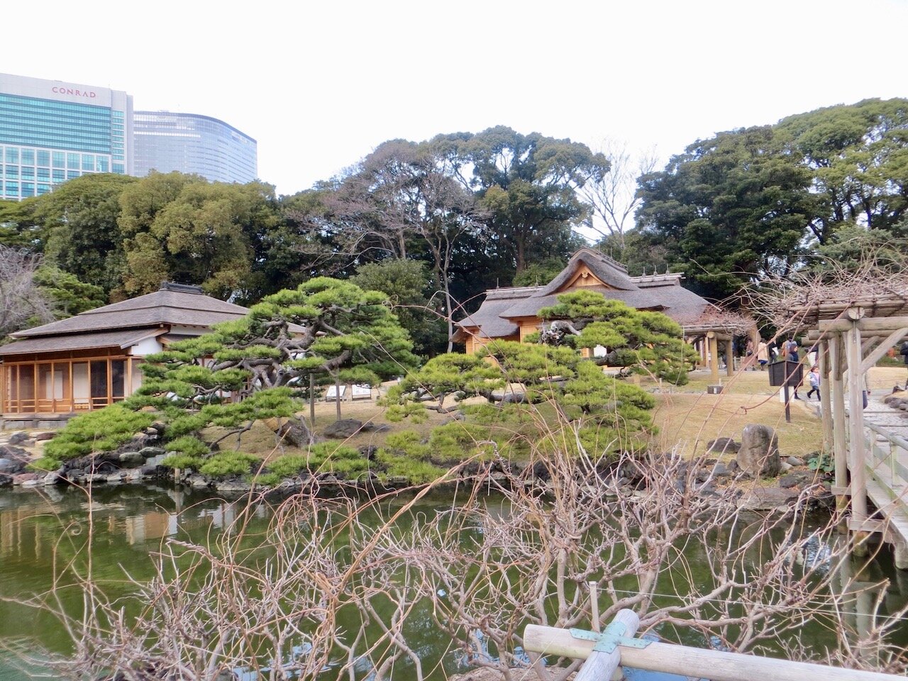 view across pond of traditional Japanese buildings Tokyo.jpg